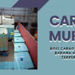 Cargo Murah Harga Ramah 2021