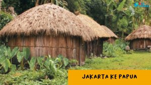 Ekspedisi Jakarta Papua